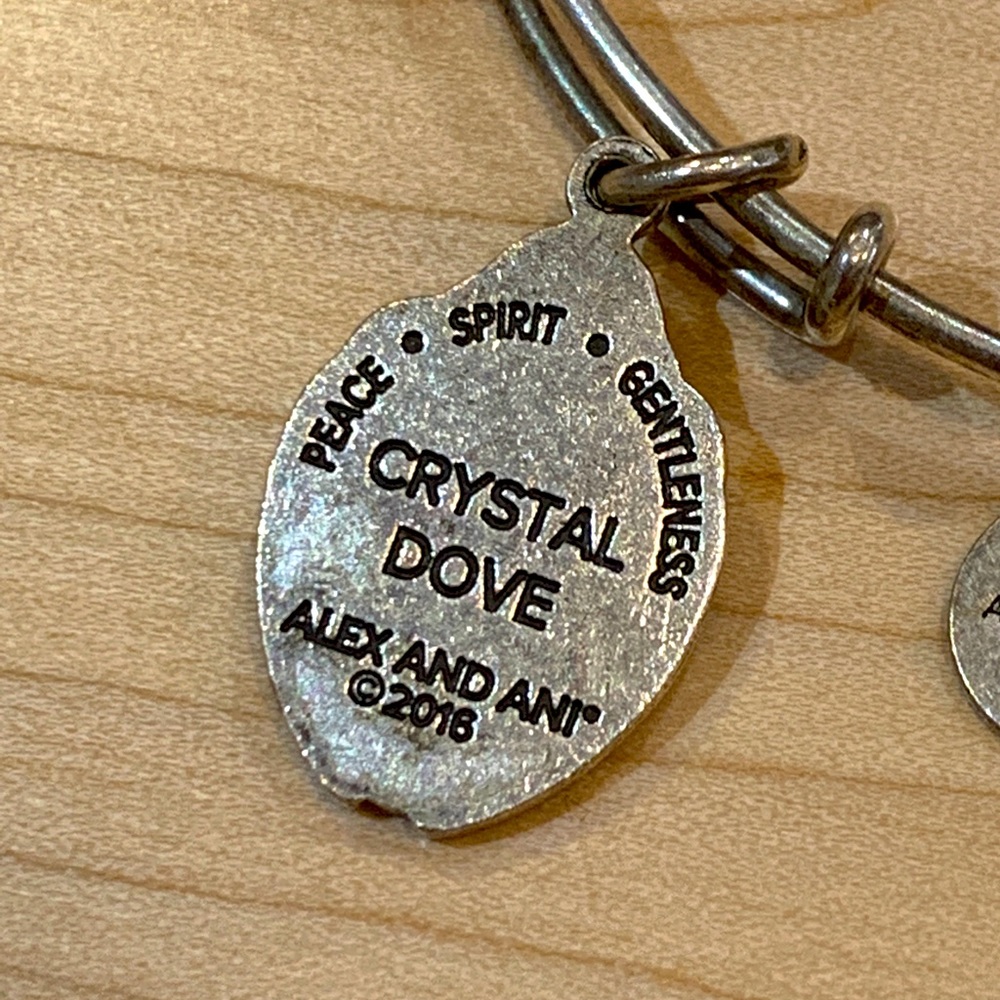 Alex and Ani Charm bracelet